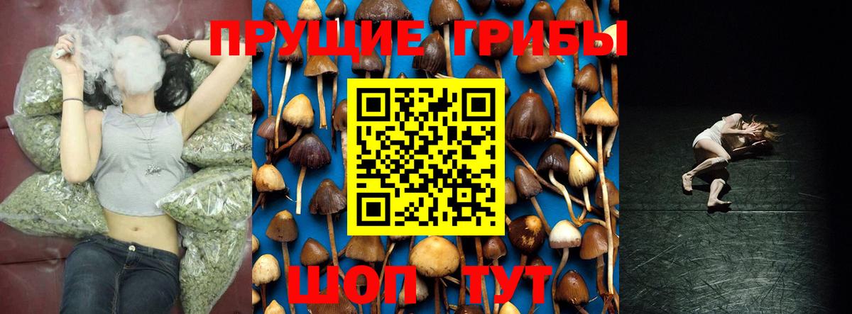 Псилоцибиновые грибы мицелий Маркс